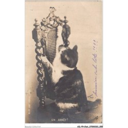 AILP9-0864 - CHAT - en arrêt