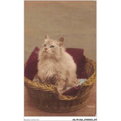 AILP9-0872 - CHAT - chat dans un panier