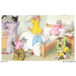 AQFP9-0630-CHAT - le jeu sur le lit