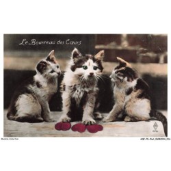 AQFP9-0592-CHAT - le bourreau des coeurs