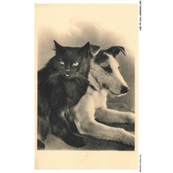 AQFP9-0585-CHAT - chien et chat - les compagnons