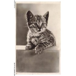 AQFP9-0625-CHAT - le regard