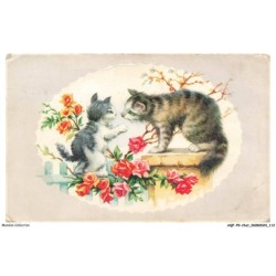 AQFP9-0640-CHAT - la causette