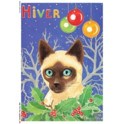 AQFP10-0728-CHAT - l'hiver