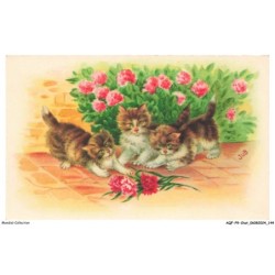 AQFP9-0656-CHAT - les chatons et les fleurs