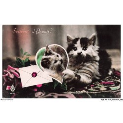 AQFP9-0654-CHAT - souvenir d'amour