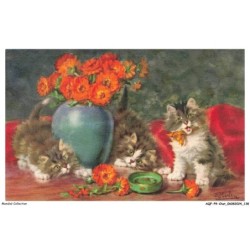 AQFP9-0653-CHAT - les chatons et les fleurs