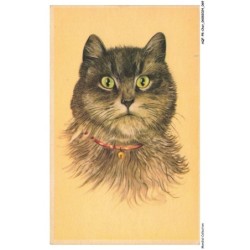 AQFP8-0541-CHAT - portrait de chat