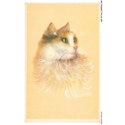 AQFP8-0540-CHAT - portrait de chat