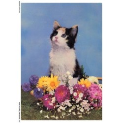ASHP4-0256-CHAT - CHATON ET FLEURS