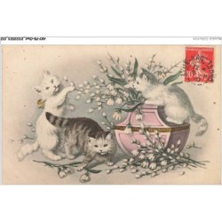 AKYP8-0706-CHAT - CHATS ET FLEURS