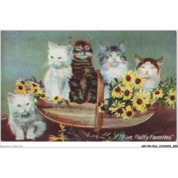 AKYP8-0703-CHAT - FIVE FLUFFY FAVORITES 5 CHATS DANS UN PANIER