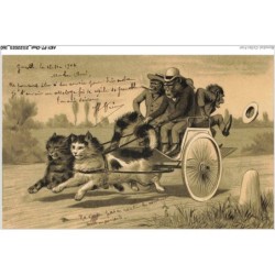 AKYP7-0689-CHAT - SINGES HUMANISES SUR UN ATTELAGE DE CHATS
