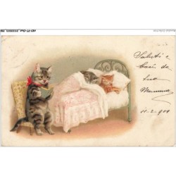 AKYP7-0688-CHAT - MAMAN CHAT RACONT UN HISTOIR AUX CHATONS POUR S ENDORMIR