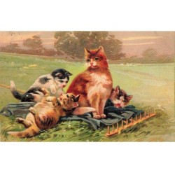 AHCP13-0072- CHATTE ET CHATONS PAYSAGE RATEAU