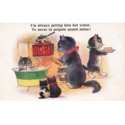 MIKIDP1-035- CHAT ET CHATONS HUMANISE TU AURAS TA PEIGNEE QUAND MEME PAR ILLUSTRATEUR BARNES