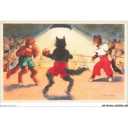 AKYP8-0709-CHAT - CHATS HUMANISES COMBAT DE BOXE