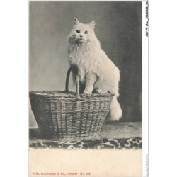 AKYP7-0677-CHAT - SUPERBE CHAT BLANC ET PANIER SUISSE FRED BOISSONNAS GENEVE