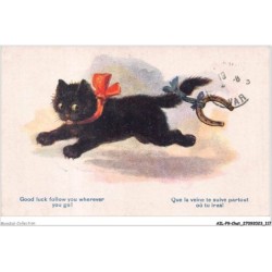 AILP9-0895 - CHAT - que la veine te suive partout où tu iras FLORENCE BARNES