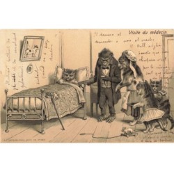 MIKI-AP7-046- ANIMAUX HUMANISES CHAT MALADE ET VISITE DU MEDECIN SINGE