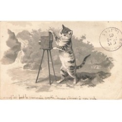 MIKIDP1-025- CHAT HUMANISE PHOTOGRAPHE APPAREIL PHOTO