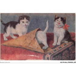 AILP9-0936 - CHAT - groupe de chats