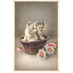 MIKIBP5-053- DEUX CHATS DANS UNE CORBEILLE FLEURS
