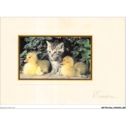 AKPP10-0806-CHAT - CHATON ET CANNARDS
