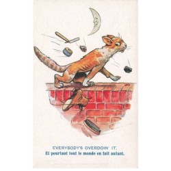 MIKI-DP6-057- UN CHAT SUR UN MUR + LUNE MOON  PAR ILLUSTRATEUR FLORENCE BARNES
