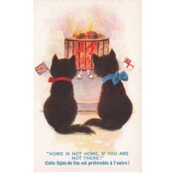 MIKI-DP6-060- DEUX CHATS NOIR DEVANT UN FEU + DRAPEAUX PAR ILLUSTRATEUR FLORENCE BARNES