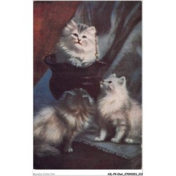 AILP9-0942 - CHAT - groupe de chats