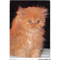 AILP9-0933 - CHAT - chat persan roux