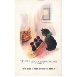 MIKI-DP6-053- CHAT NOIR ET CHATONS LUNE MOON  PAR ILLUSTRATEUR FLORENCE BARNES