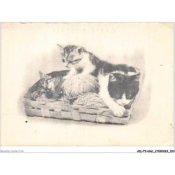 AILP9-0932 - CHAT - chats dans un panier