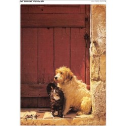 AKPP10-0800-CHAT - FIDELES