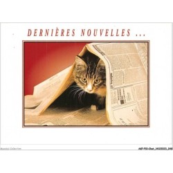 AKPP10-0804-CHAT - DERNIERES NOUVELLES