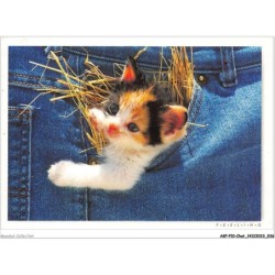 AKPP10-0798-CHAT - CHATON DANS UNE POCHE