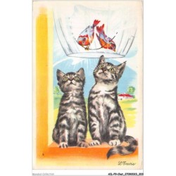 AILP9-0937 - CHAT - l'envie