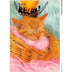 AKPP10-0789-CHAT - CHAT ROUX - RELAX