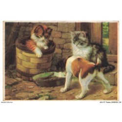 AOAP7-0565-ANIMAUX - chatons chien et criquet