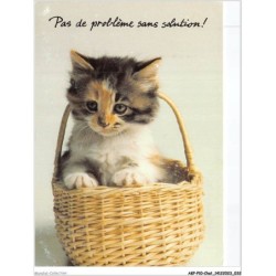 AKPP10-0796-CHAT - CHATON DANS PANIER - PAS DE PROBLEME SANS SOLUTION
