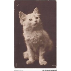 AILP9-0931 - CHAT