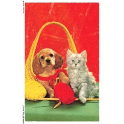 ASHP7-0376-CHAT - UN CHAT - UN CHIEN - UN PANIER ET FIL DE LAINE