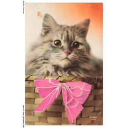 ASHP7-0377-CHAT - UN CHAT  DANS UN PANIER AVEC NOEUD PAPILLON ROSE