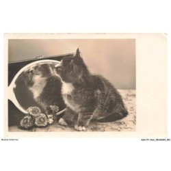 ASHP7-0402-CHAT - CHATON FACE A UN MIROIR ET FLEURS