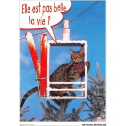 AKPP10-0803-CHAT - ELLE EST PAS BELLE LA VIE