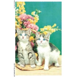 ASHP7-0412-CHAT - DEUX CHATONS PRES D'UN POT DE FLEURS