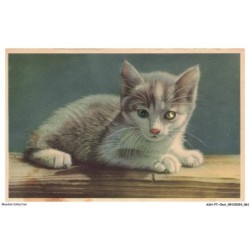 ASHP7-0407-CHAT - CHATON COUCHE