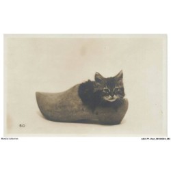 ASHP7-0417-CHAT - UN CHATON DANS UN SABOT