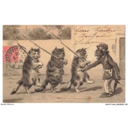 ASHP7-0431-CHAT - TROIS CHATS EN RANG AVEC LEURS ARMES FACE A UN SINGE DEGUISE EN SOLDAT